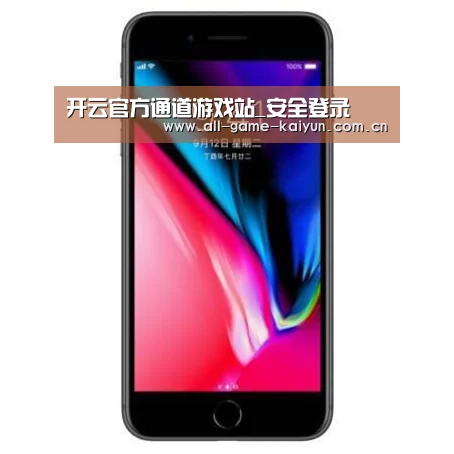Apple iPhone 8 Plus (A1899) 64GB 深空灰色 移动