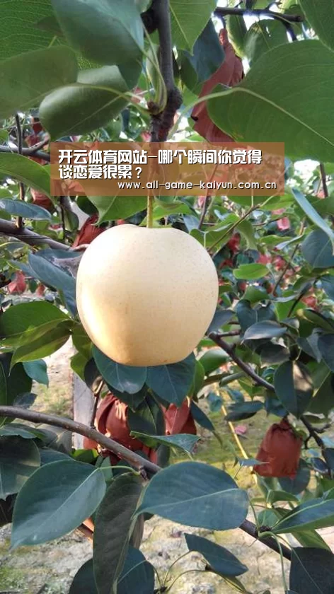 开云体育网站-哪个瞬间你觉得谈恋爱很累?(图3) 开云棋牌app下载页