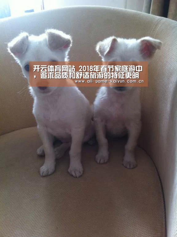 开云体育网站_2018年春节家庭游中,追求品质和舒适旅游的特征更明显(图2) 开云体育网站