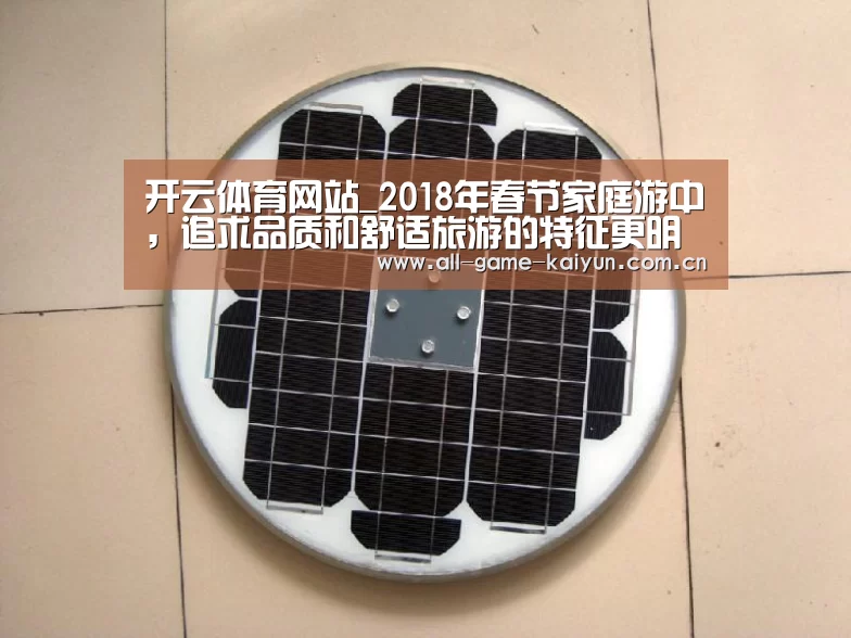 开云体育网站_2018年春节家庭游中,追求品质和舒适旅游的特征更明显(图3) 开云体育官网