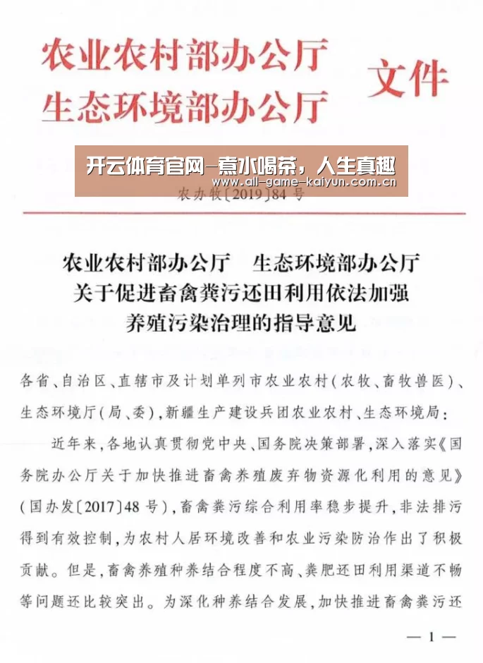 开云体育官网