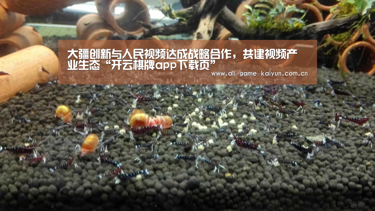 大疆创新与人民视频达成战略合作,共建视频产业生态“开云棋牌app下载页”(图1) 开元体育