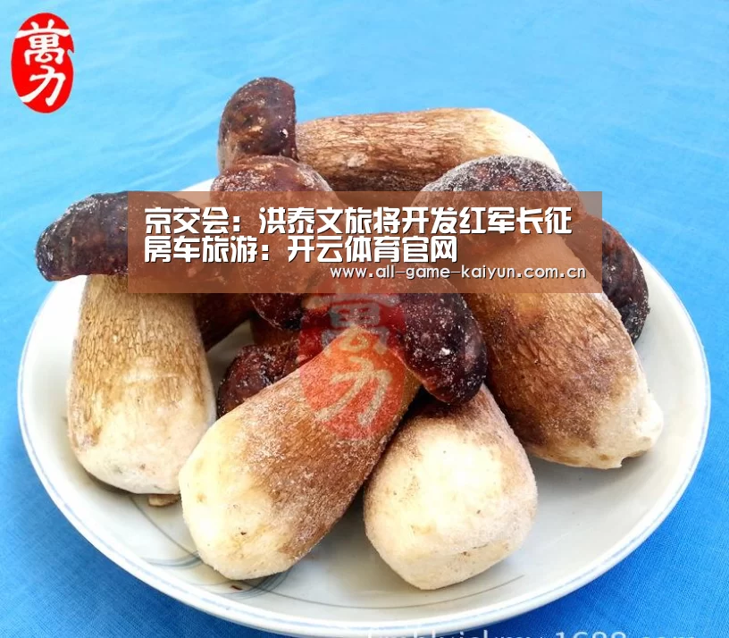 京交会:洪泰文旅将开发红军长征房车旅游:开云体育官网(图2) 开元体育