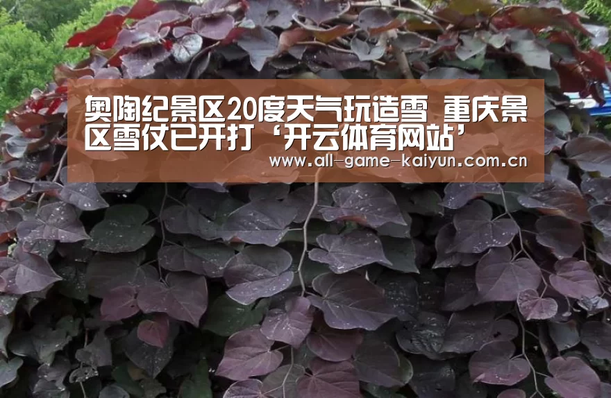 开云体育网站