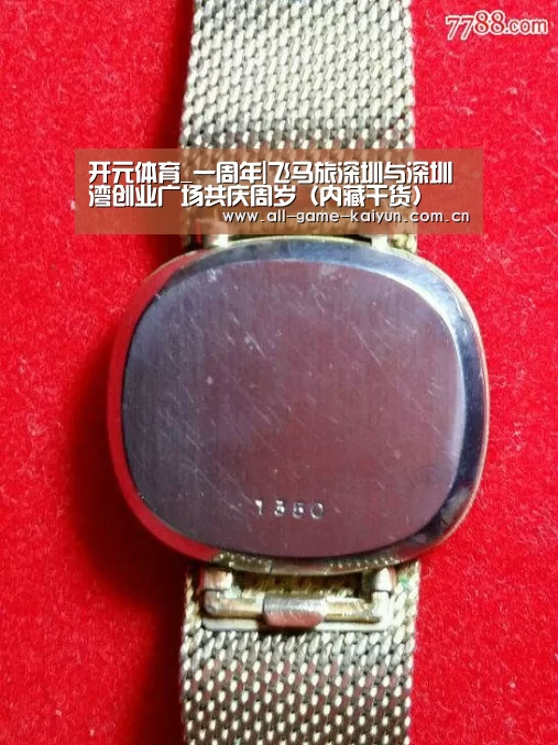 开元体育_一周年|飞马旅深圳与深圳湾创业广场共庆周岁(内藏干货)(图2) 开云体育官网