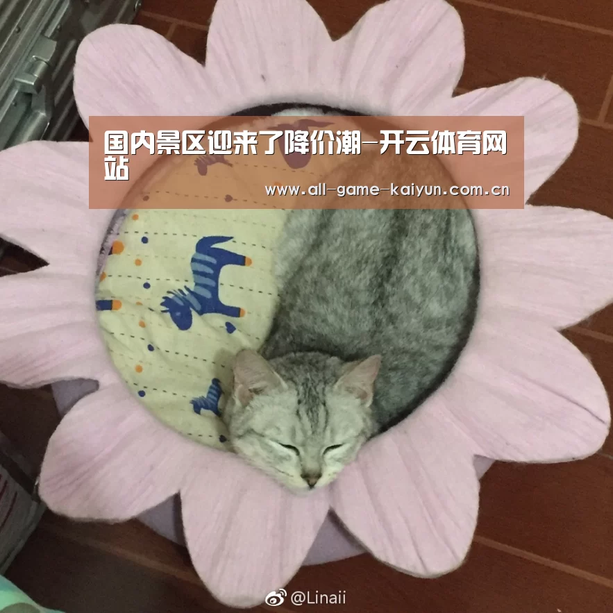 国内景区迎来了降价潮-开云体育网站(图1) 开云棋牌app下载页