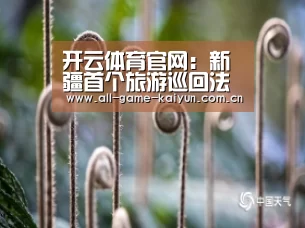 开云体育官网