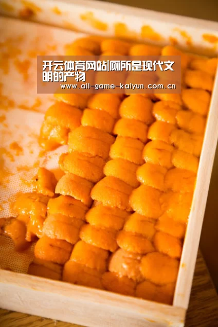 开云体育网站|厕所是现代文明的产物(图3) 开云体育网站