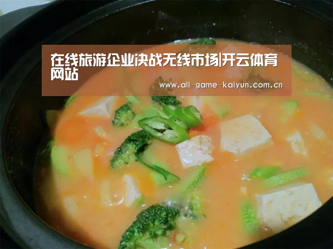 在线旅游企业决战无线市场|开云体育网站(图3) 开元体育